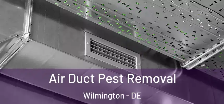 Air Duct Pest Removal Wilmington - DE