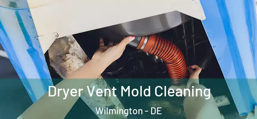 Dryer Vent Mold Cleaning Wilmington - DE