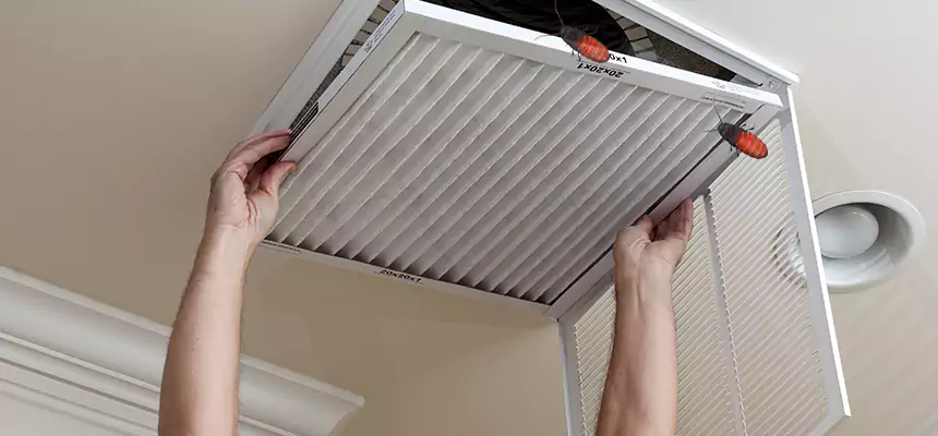 Our Insect Removal from Air Ducts Services in Wilmington, DE