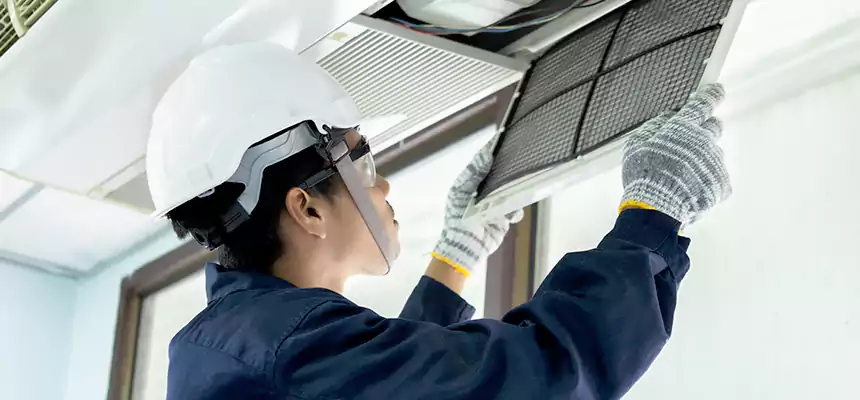 Our Mold & Mildew Removal from Air Ducts Services in Wilmington, DE