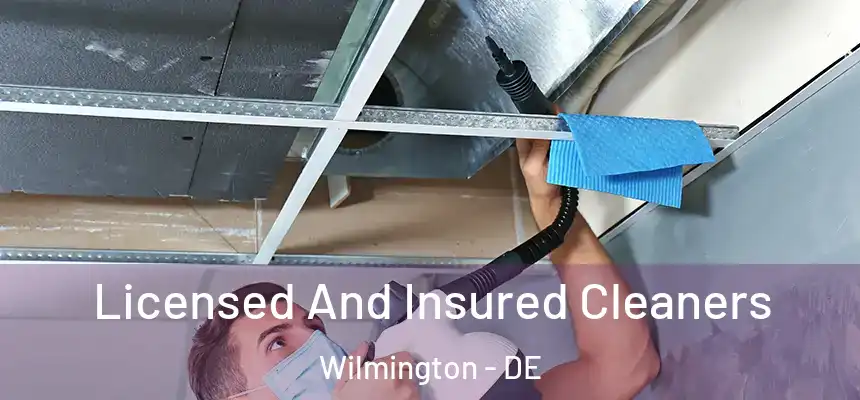 Licensed And Insured Cleaners Wilmington - DE