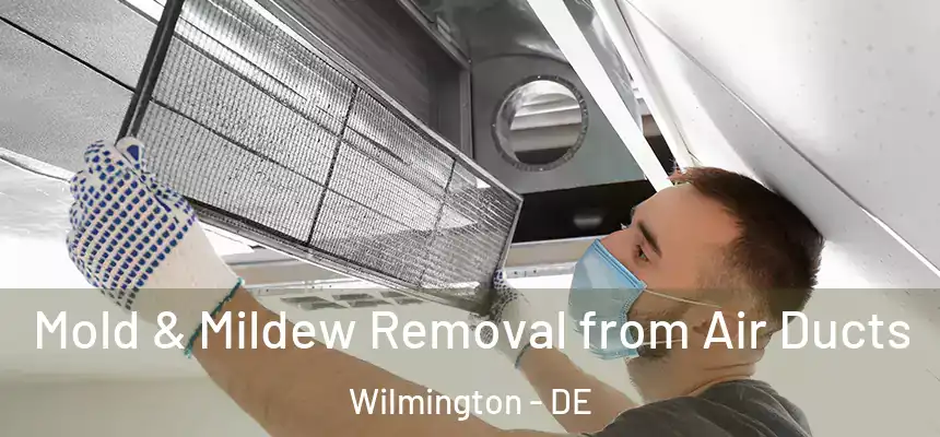  Mold & Mildew Removal from Air Ducts Wilmington - DE