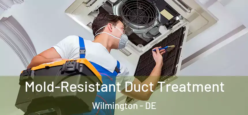 Mold-Resistant Duct Treatment Wilmington - DE