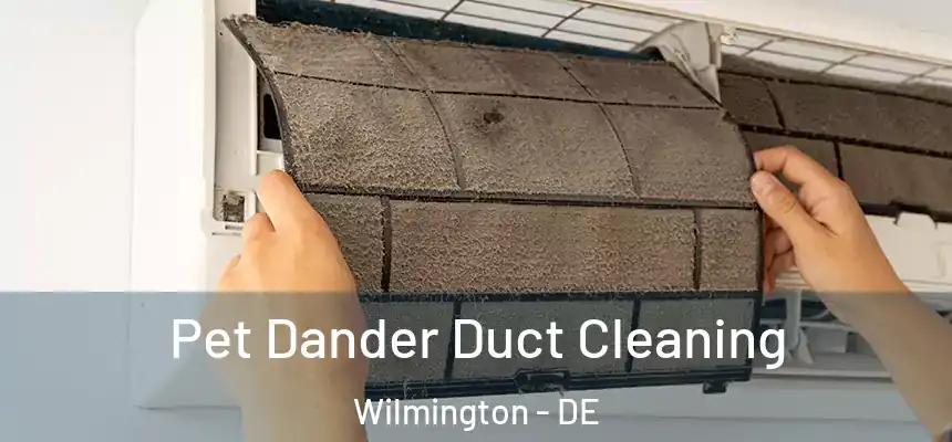 Pet Dander Duct Cleaning Wilmington - DE