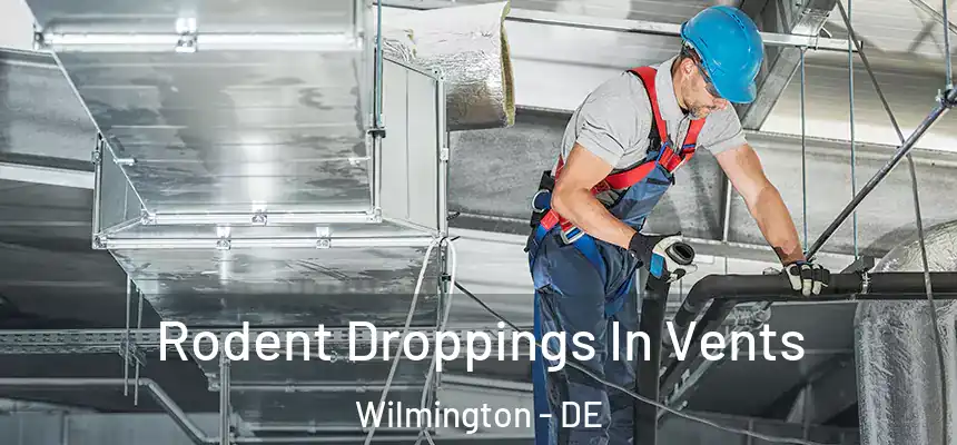  Rodent Droppings In Vents Wilmington - DE