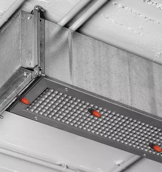 About Air Duct Cockroach Removal in Wilmington, DE