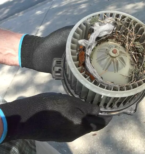 About Air Duct Mice Removal in Wilmington, DE