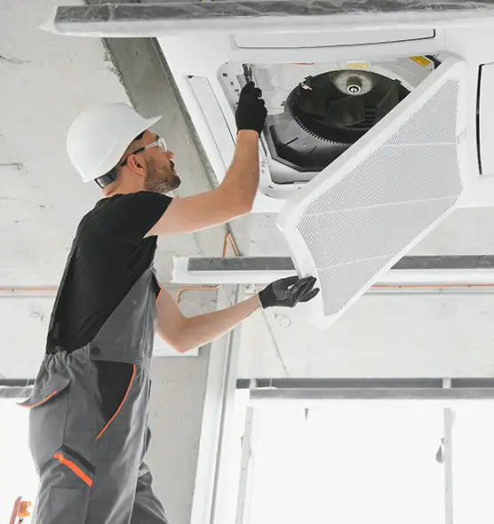 About Air Duct Rodent Removal in Wilmington, DE