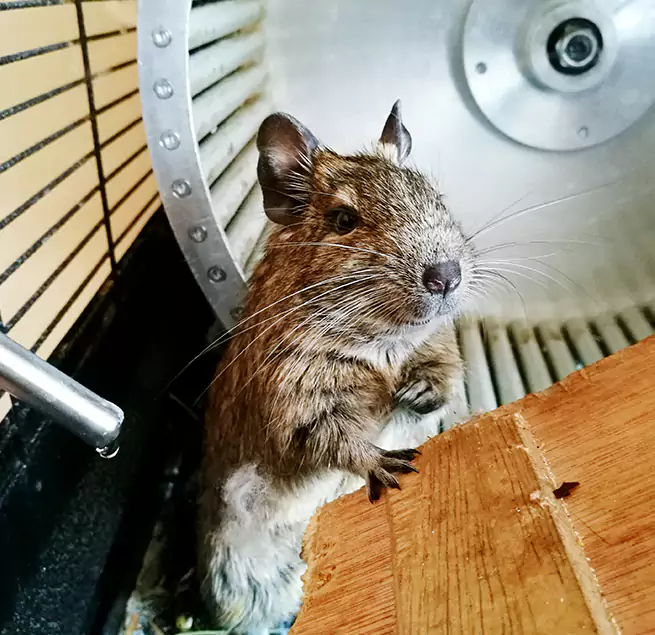 Why Homeowners & Businesses Trust Us Wilmington, DE