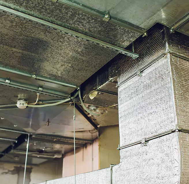 Why Homeowners & Businesses Trust Us in Wilmington, DE?